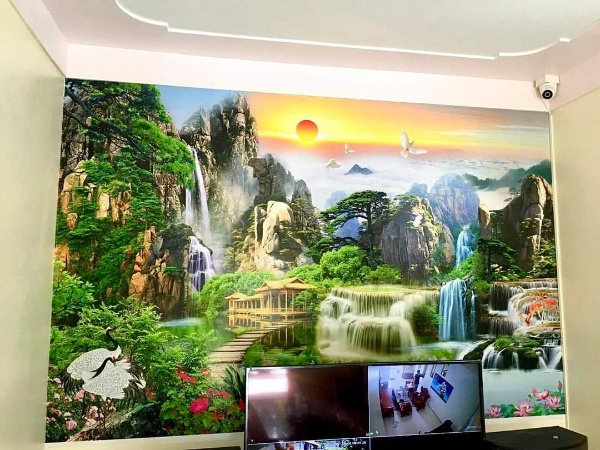 Thi công tranh dán tường 3D